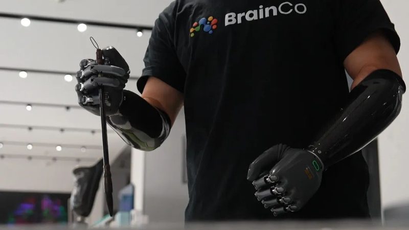 企业级搜索系统故障排查：关键步骤与案例分析**